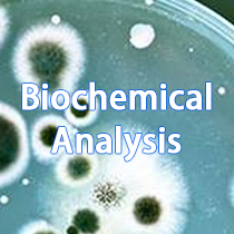 Biochemical Analysis